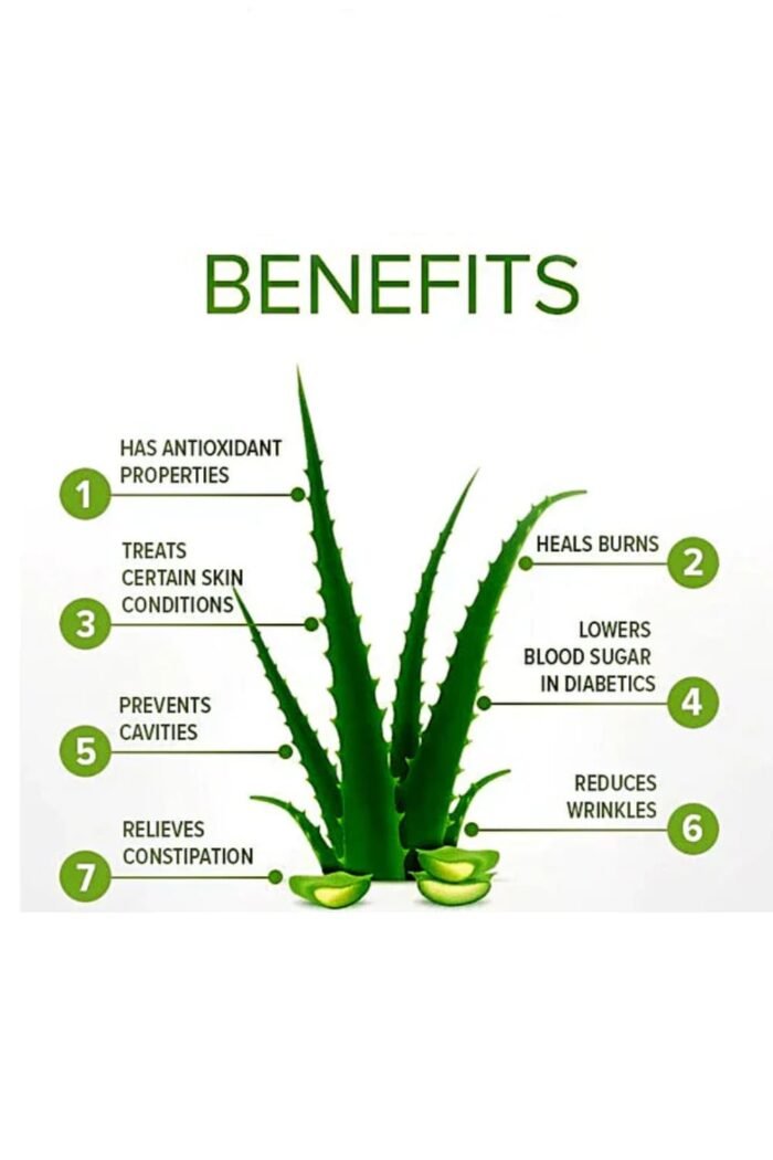 Natural Aloe Vera Leaf for Face and Hair Care (Aloe Barbadensis) Powder - 500 gm