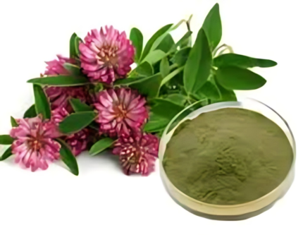 Red Clover Extract – Hormonal Balance & Skin Support | Menopause Relief | 100% Pure Trifolium pratense
