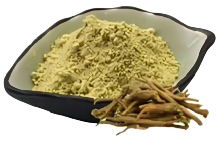 Scutellaria Baicalensis Extract – Antioxidant & Immune Support | Natural Stress Reliever | 100% Pure Baikal Skullcap