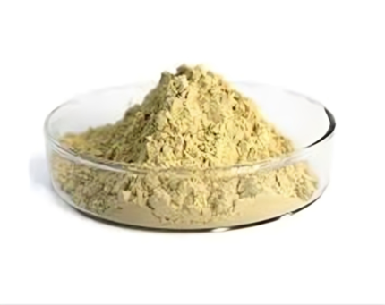 Premium Soy Extract – Natural Protein & Hormonal Balance Support | Skin Health & Heart Health | 100% Pure Soy