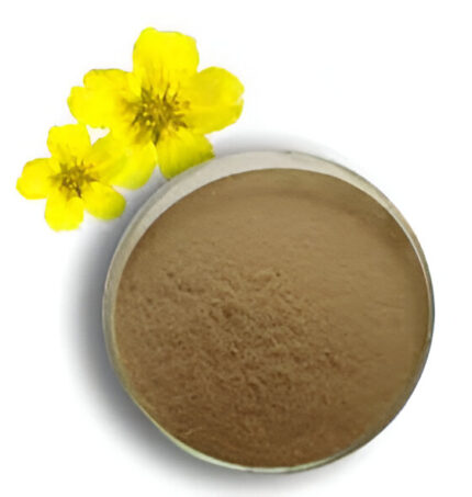 Tormentil Extract – Natural Astringent & Digestive Health Support | Anti-Inflammatory & Skin Health | 100% Pure